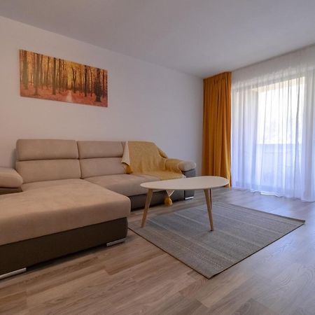 Transylvanian Apt. W/ Lrg. Terrace And Parking - Karpatenhaus Brasov Ngoại thất bức ảnh